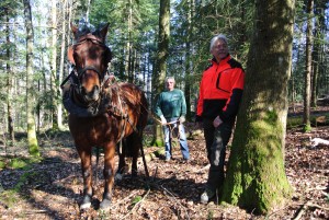 Pferd Franz, Landwirt Ernst Kleiber und Revierförster Urs Gsell, photo taken by ces/Aargauer Zeitung